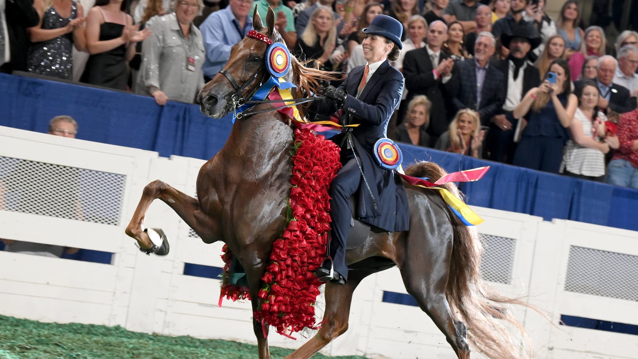 World's Championship Horse Show